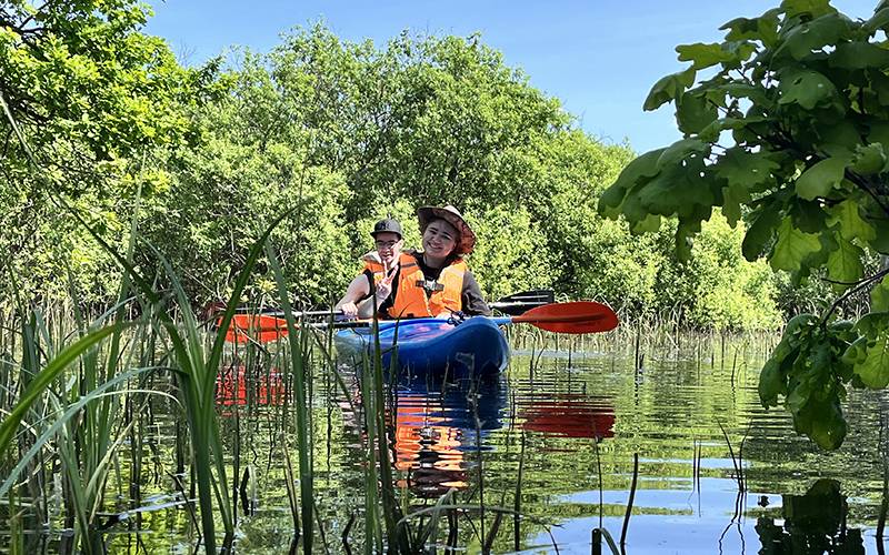 Экстремальный сплав по Случи